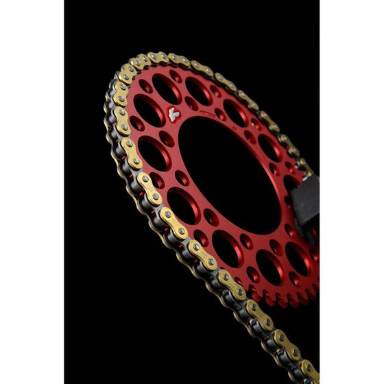 TC 250 (2018 - 2022) r1 works chain - 520x120 | RENTHAL