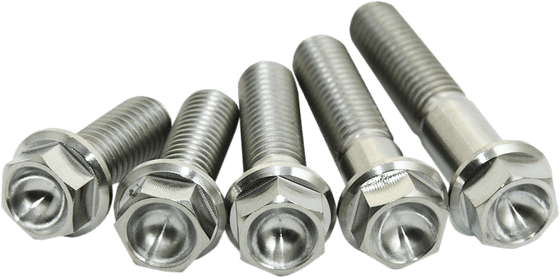 FE 350 (2014 - 2020) titanium bolt pack of 4 (m8x25) | SCAR