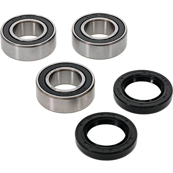 TE 610 E IE (1999 - 2003) wheel bearing kit rear | All Balls