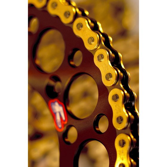 CR360 (1992 - 1994) r1 works chain - 520x120 | RENTHAL