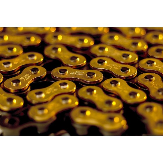 TE 450 (2004 - 2007) r1 works chain - 520x120 | RENTHAL