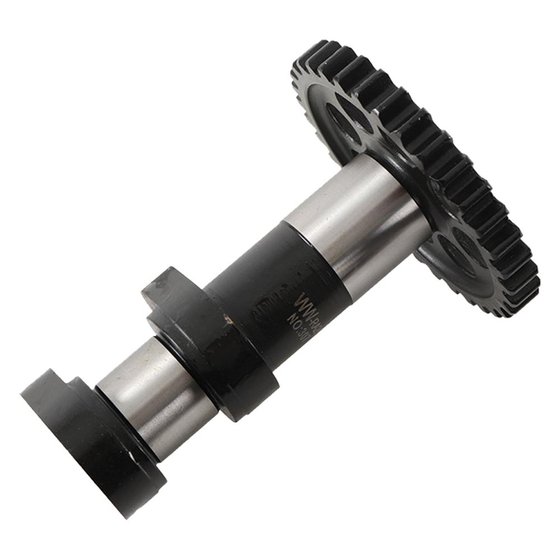 FC 250 (2016 - 2021) camshaft | Hot Cams