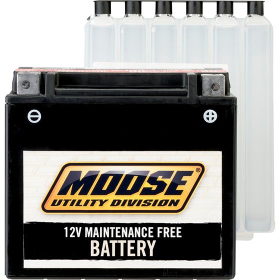 FC 250 (2014 - 2017) mud battery ytx4l-bs | MOOSE UTILITY DIVISION