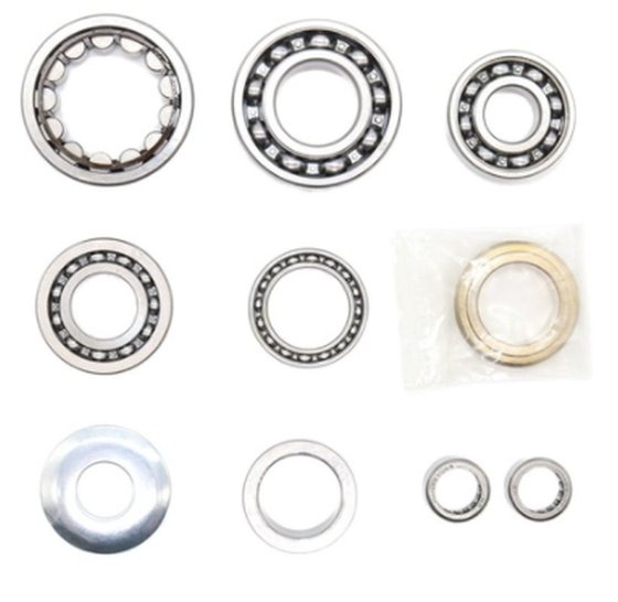 TX 300 TPI (2017 - 2021) transmission bearing kit | Hot Rods