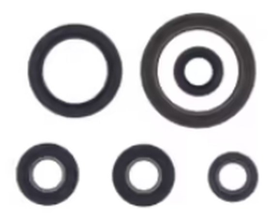 FE 350 (2020 - 2023) gasket kit oil seal | ATHENA