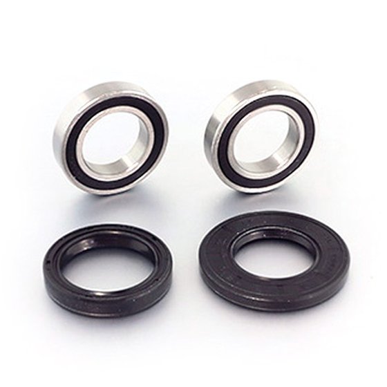 TXC 250 (2008 - 2011) front wheel bearings with seals | BEARING WORX