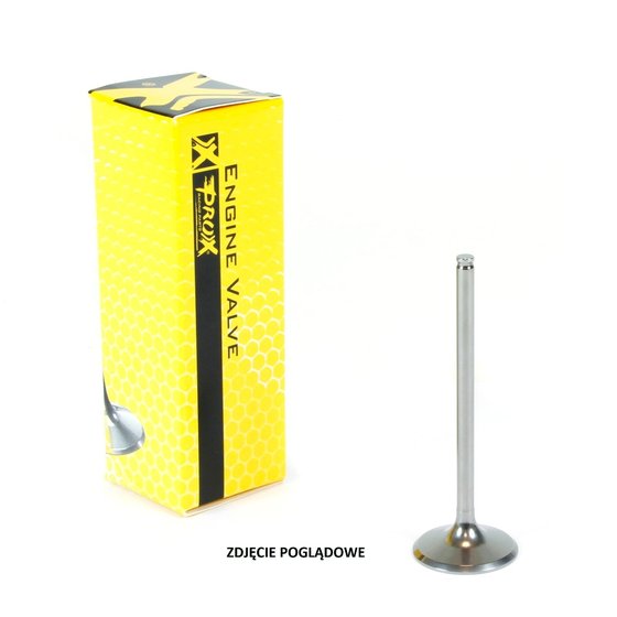 FC 250 (2014 - 2019) exhaust valve titanium | ProX