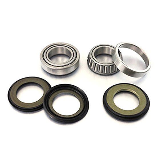 TE 300 TPI (2014 - 2014) frame head bearings with seals | BEARING WORX