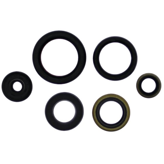 TC 250 (2021 - 2021) engine oil seal kit | Vertex